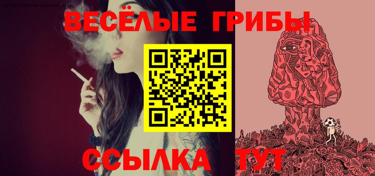 Псилоцибиновые грибы Psilocybe Усть-Кут