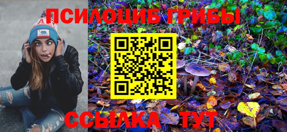 Галлюциногенные грибы Psilocybe  Вход с VPN  Псилоцибиновые грибы Psilocybe  Усть-Кут 